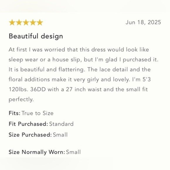 NWT Size XL -Anthropologie Sleeveless V-Neck Lace Slip Midi Dress (NWT US$ 178) - Picture 15 of 17